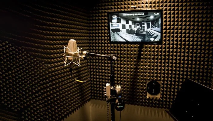 عایق صوتی شانه تخمه مرغی